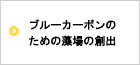 ブルーカーボンのための藻場の創出